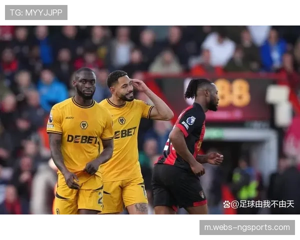 富勒姆阵容年龄结构偏大 希门尼斯体能问题凸显深度短板 富勒姆阵容年龄结构偏大 希门尼斯体能问题凸显深度短板